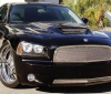 T-Rex  609579006934 Custom Grilles  best price