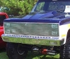 Custom Grilles  T-Rex  20010 609579000703 Buy Online