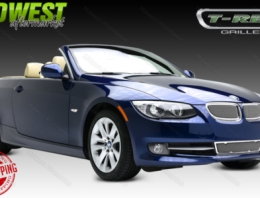 Buy Custom Grilles  T-Rex  54985 609579017190 online store