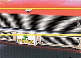 Buy Custom Grilles  T-Rex  20771 609579001953 online store