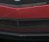 T-Rex  609579006132 Custom Grilles  best price